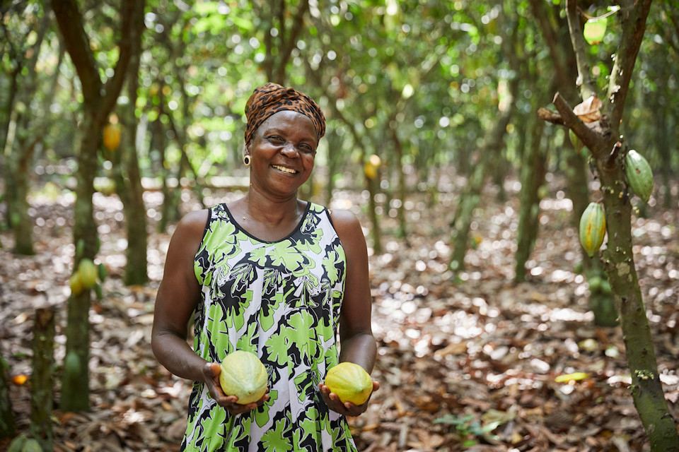 キャッサバ栽培を通じて「女性の平等」実現をサポート